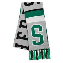 Load image into Gallery viewer, Slytherin Sports Scarf-The Curious Emporium